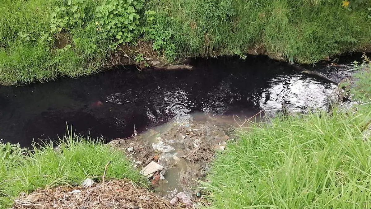 Los afluentes del río son los que llevan gran parte de los contaminantes